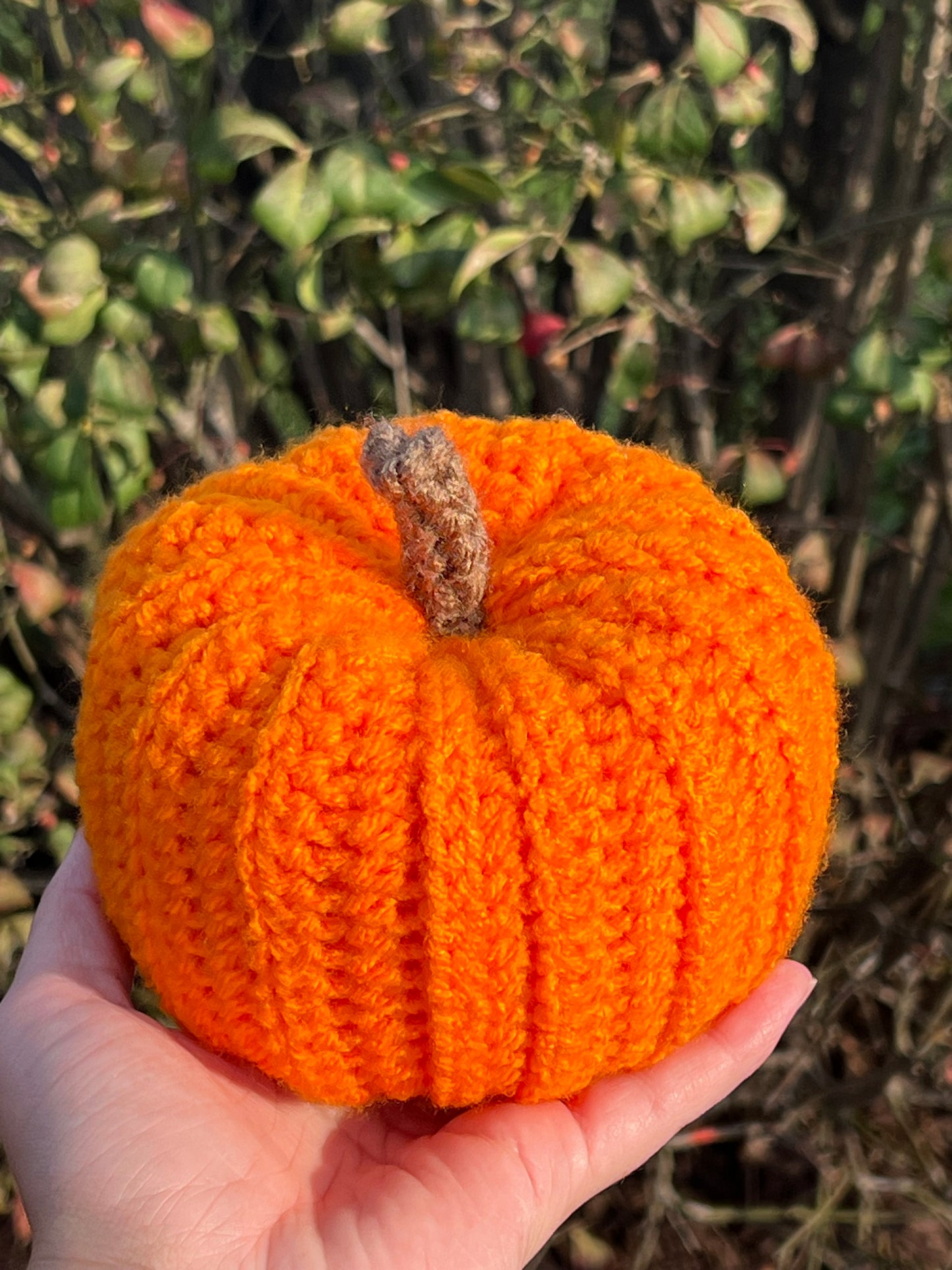 Crochet Pumpkins