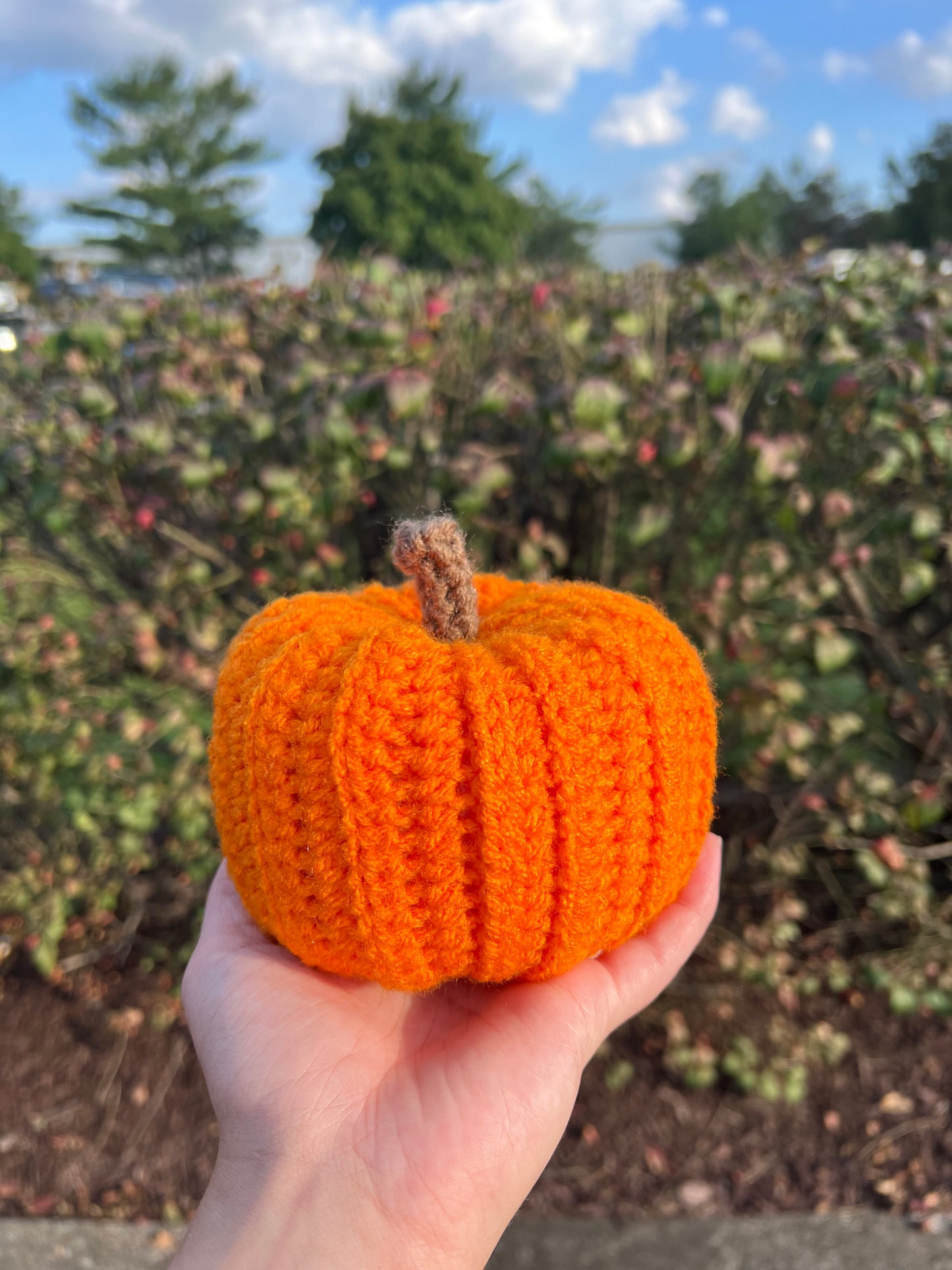 Crochet Pumpkins
